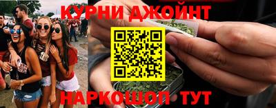 гашик Жуковский