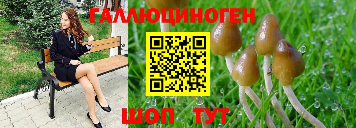 Псилоцибиновые грибы Magic Shrooms Мурино