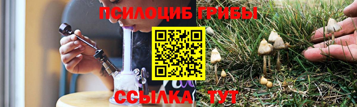 Мурино  Галлюциногенные грибы Psilocybe  Вход с VPN 